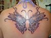 butterfly back tattoo design